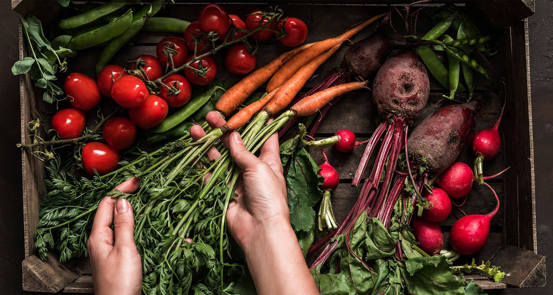 Kalogeris greengrocer's